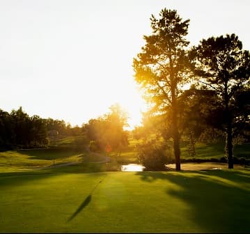 course-image
