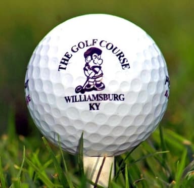 course-image