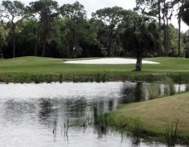 course-image