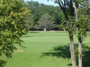 course-image
