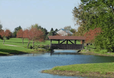 course-image