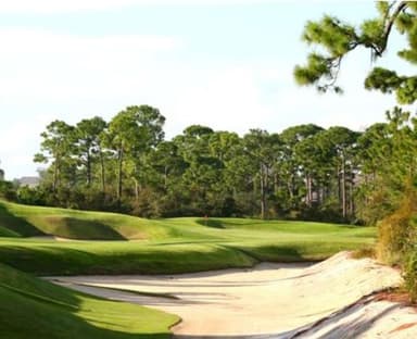 course-image